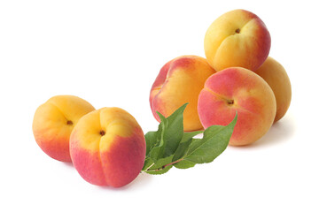 Tasty apricots with sprig isolated on white