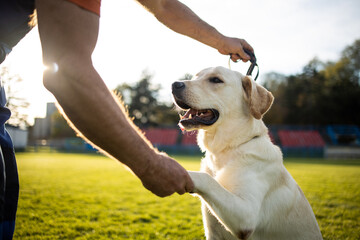 Time to study.Man training his dog.