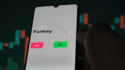An investor's analyzing the Turkey etf fund on screen. A phone shows the ETF's prices Turkish to invest