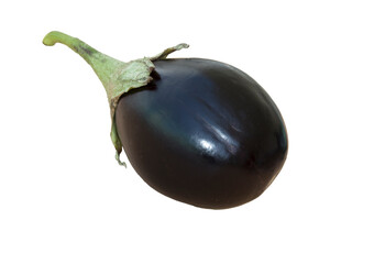 A round blackish eggplant for making stuffed meals