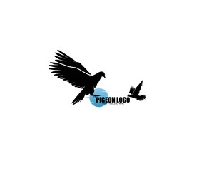 Pigeon bird logo silhouette design vector