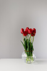 Photo of a wonderfull bouquet of red tulips on round glass vase in white modern minimalistic style in white interior daylight