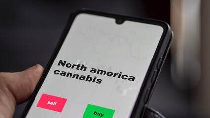 An investor's analyzing the stocks on screen. A phone shows the ETF's prices north america cannabis