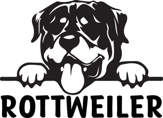 Dog Svg Design