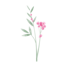 Pink floral leaf watercolor