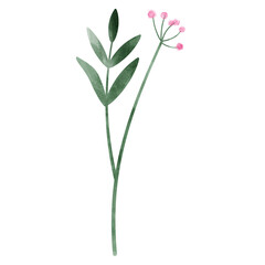 Pink floral leaf watercolor