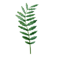 Green leaf watercolor
