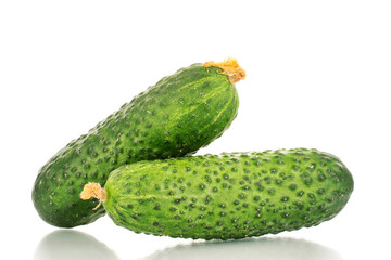 Two organic green cucumbers, close-up, isolated on white background.