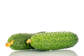 Two organic green cucumbers, close-up, isolated on white background.