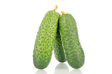 Three organic green cucumbers, close-up, isolated on white background.