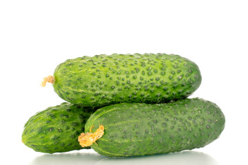 Three organic green cucumbers, close-up, isolated on white background.