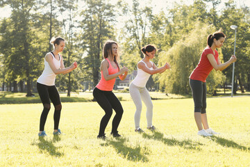 A group of healthy, beautiful, athletic women doing yoga in the park.