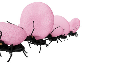 concept work, team of ants