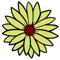 Flower Illustration Art Element Drawing