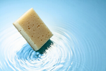 The sponge falls into the water.