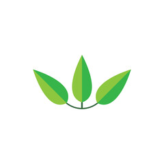 leaf logo vector