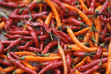 Fresh juicy red and yellow hot chili peppers isolated on a wooden background.