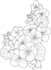 Set of hand drawn stylized outline geranium flower  isolated on white background. Highly detailed vector illustration, botanic leaf branch or buds engraved ink art coloring page for children or adult 