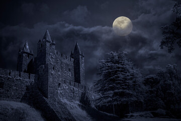 Medieval castle in a full moon night - Powered by Adobe