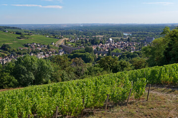 Fototapeta na wymiar Sancerre vineyards and Saint-Satur aqueduct in the Loire valley