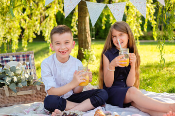 Sister and brother spending time on picnic in the park while drinking lemonade. - Powered by Adobe