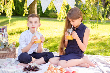 Sister and brother spending time on picnic in the park while drinking lemonade.