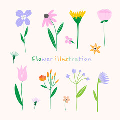 set of colorful flowers vector