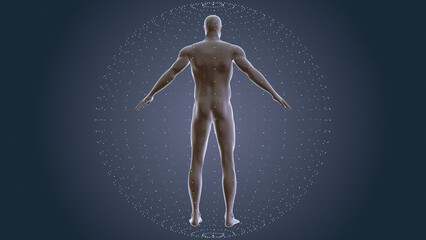 Human body with plexus technology background