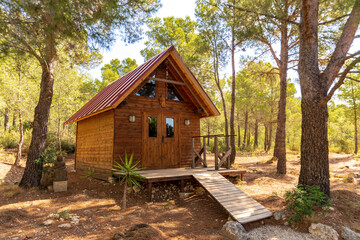 Small wooden house among trees in the middle of nature on a sunny day - Powered by Adobe