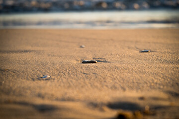 Shore of a beach in Cádiz (Spain) in a summer sunset with reflections of the sun's rays on the wet sand.