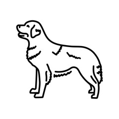 The dog stands in profile color line icon. Pictogram for web page