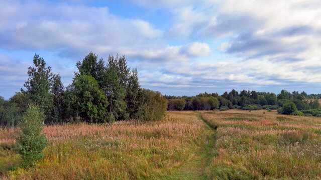 The abandoned Finnish farms of Karpianmaki, Kempinmaki, Nokelaisenmaki, Pyuhilyanmaki. Toksovo, Leningrad Region, Russia