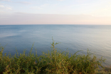 Seascape. High seashore at sunset covered with grass.