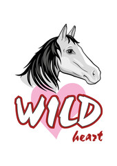 Portrait of a horse Wild Heart