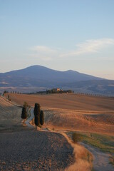 hilly landscape in Tuscany, Italy (place of the gladiator film)