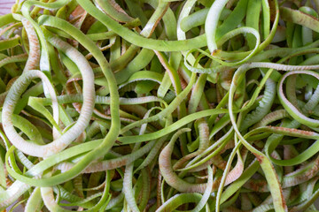 Freshly peeled twisted apple skin creates interesting patterns