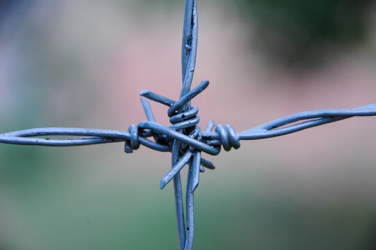 Barbed wire join centered as a 'plus sign' with four quadrants against a blurred background