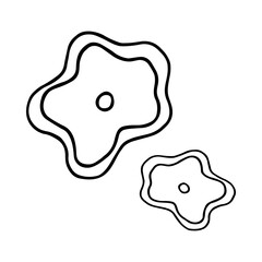 Hand drawn floral, branch and herbal elements. Black doodle vector illustration on white background for your design, greeting card and logo.