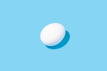 White chicken egg on a blue background.