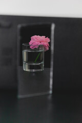 Pink rose in glass rellected in the mirror. 