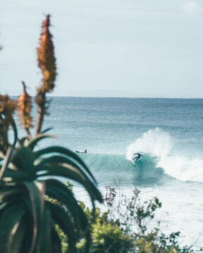 Surf Landscape Carve Wave