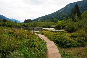 A raised walkway and observation platforms in Zelenci Nature Reserve near Kranjska Gora in north west Slovenia. It is a protected wetland and source of the Sava Dolinka River