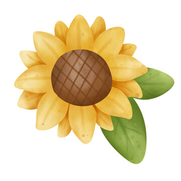 recommend clip art: Sunflower