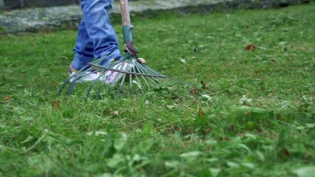 A girl child and an adult remove dry leaves and grass with a rake. Landscaping and cleaning of the territory. Slow motion