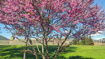 Landscape with green mountains and traditional towns