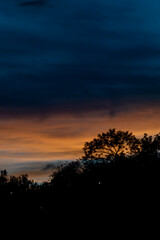Fototapeta premium sunset with red and blue dramatic sky, silhouette against the light, shadow of trees, background, colorful, mexico,