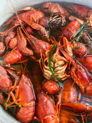 Cooking freshwater crayfish. Crawfish boil in boiling water, close-up.