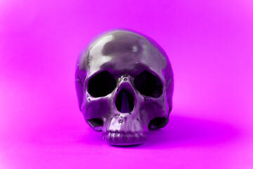 Halloween holiday concept. Scary skull on purple background. Selective focus