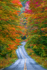 Kancamagus Highway,Forest..New Hampshire,.New England,USA