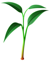 Realistic detailed green plant seedling growing. Three leafs. 3D render.